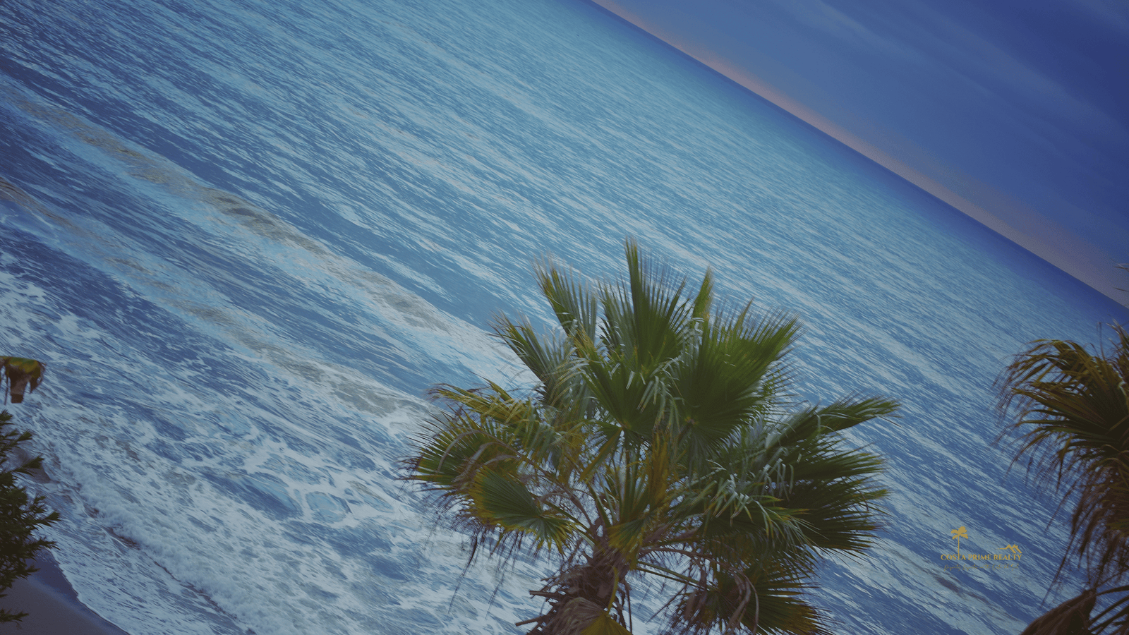 Mediterranean beach with palm trees on the Costa del Sol in southern Spain
