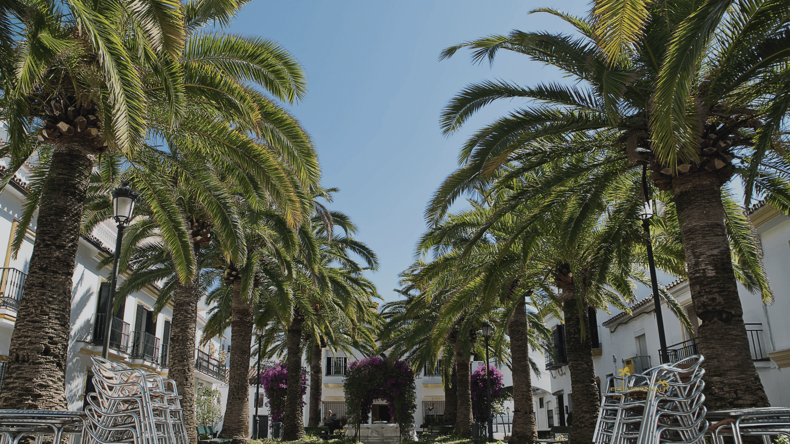Palm trees in Benalmádena Pueblo square on the Costa del Sol Spain