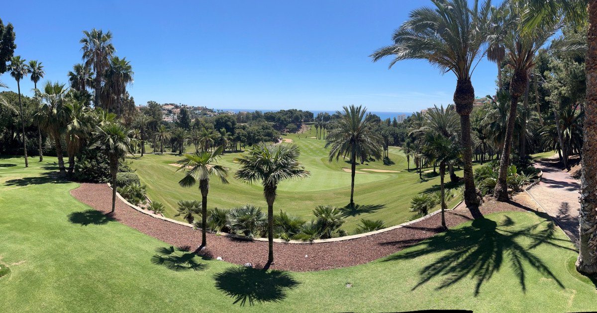 Golf Torrequebrada fairway surrounded by palm trees with Mediterranean Sea views in Benalmádena